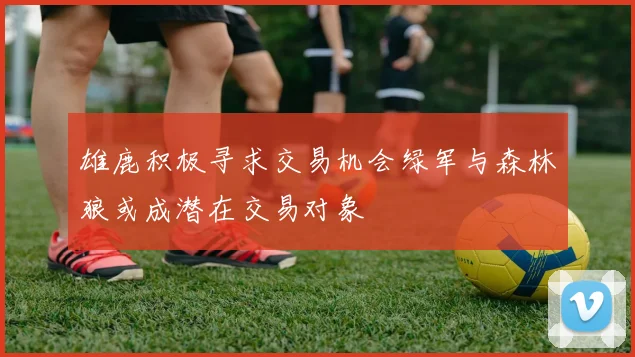 雄鹿积极寻求交易机会绿军与森林狼或成潜在交易对象